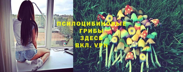 трава Верхнеуральск