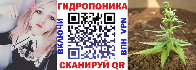блэк спрут рабочий сайт  Катайск  Бошки Шишки конопля 